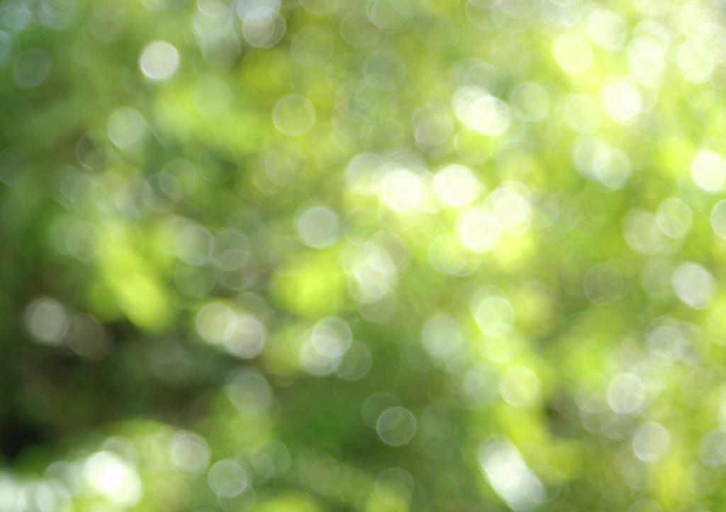 a68a9093aac9ea955aef9679b60e546d2a9fabf04ca860fa541df8f6ebcbdcbc6g.jpg