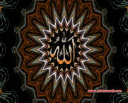 Unlimited Free Image and File Hosting at MediaFire