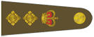 COLONEL COLONEL