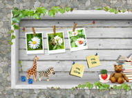 Unlimited Free Image and File Hosting at MediaFire