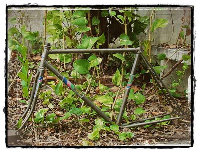 รูปภาพ