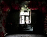 Unlimited Free Image and File Hosting at MediaFire