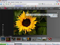Unlimited Free Image and File Hosting at MediaFire