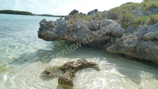 Los Roques
