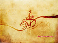 Unlimited Free Image and File Hosting at MediaFire