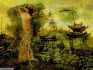 Unlimited Free Image and File Hosting at MediaFire