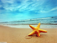 Unlimited Free Image and File Hosting at MediaFire