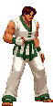 cvs2_kim