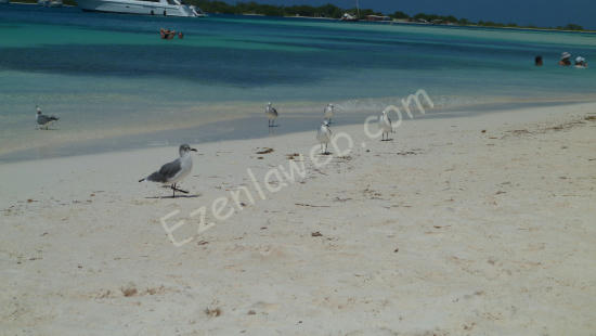 Los Roques