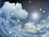 Unlimited Free Image and File Hosting at MediaFire