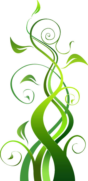 vine