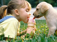 Unlimited Free Image and File Hosting at MediaFire