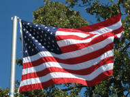 Waving Flag