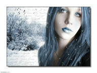 Unlimited Free Image and File Hosting at MediaFire