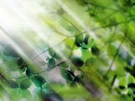 Unlimited Free Image and File Hosting at MediaFire