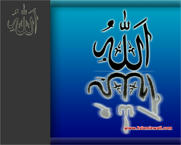 Unlimited Free Image and File Hosting at MediaFire