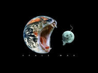 Unlimited Free Image and File Hosting at MediaFire