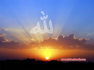 Unlimited Free Image and File Hosting at MediaFire