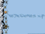 Unlimited Free Image and File Hosting at MediaFire