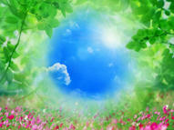 Unlimited Free Image and File Hosting at MediaFire