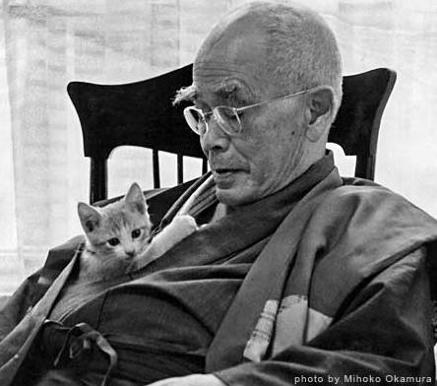 Unlimited Free Image and File Hosting at MediaFire