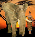 Unlimited Free Image and File Hosting at MediaFire