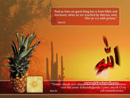 Unlimited Free Image and File Hosting at MediaFire