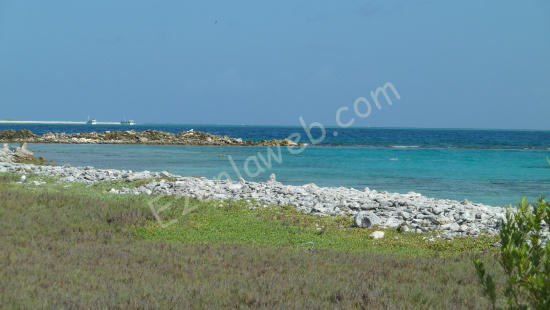 Los Roques