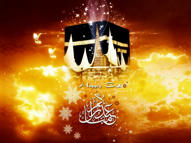 Unlimited Free Image and File Hosting at MediaFire