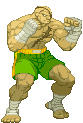 Cvs_sagat