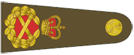 FIELD MARSHAL