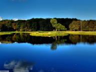 Unlimited Free Image and File Hosting at MediaFire