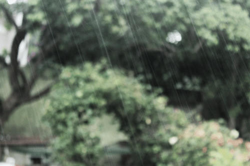 Unlimited Free Image and File Hosting at MediaFire