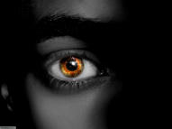 Unlimited Free Image and File Hosting at MediaFire