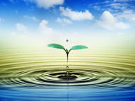 Unlimited Free Image and File Hosting at MediaFire