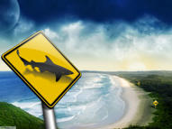 Unlimited Free Image and File Hosting at MediaFire