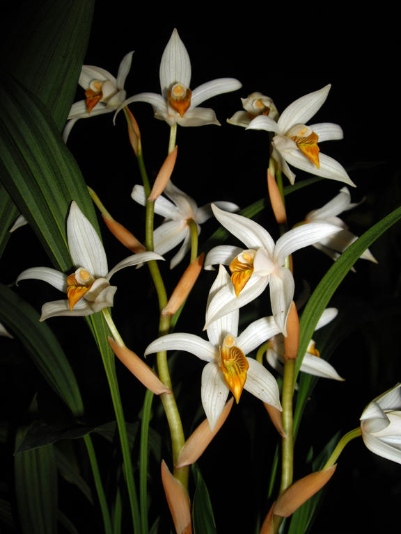 http://www.mediafire.com/conv/d0c794144b8ab38794f4c91ece766ac4965ac512fa9ff97a3a7ff614120bbaec6g.jpg