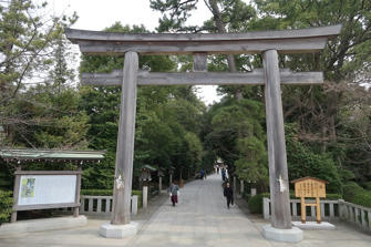 写真（寒川神社その4）