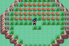 [PokeCommunity.com] Pokemon Hollow Mysteries