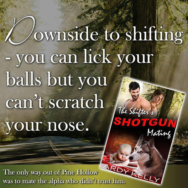 Ardy Kelly - The Shifter's Shotgun Mating Promo4