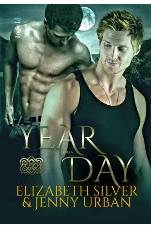 Elizabeth Silver & Jenny Urban - A Year and A Day Cover