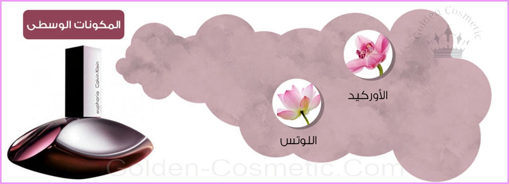 إيفوريا من كالفين كلاين للنساء Euphoria - Calvin Klein - Woman
