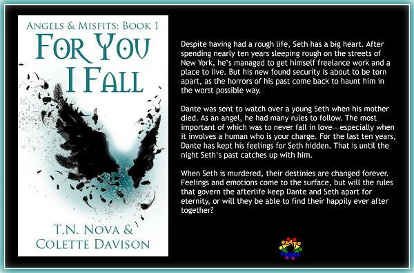 T.N. Nova and Colette Davison - For You I Fall BLURB