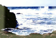 Simple, Free Image and File Hosting at MediaFire