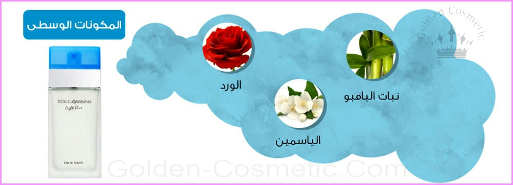 لايت بلو من دوتشي غابانا للنساء Light Blue - Dolce&Gabbana - Woman