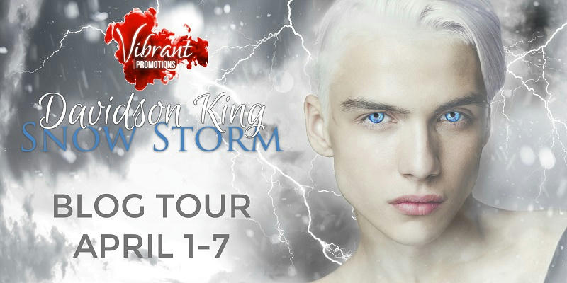 Davidson King - Snow Storm Tour Banner