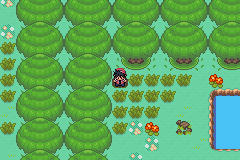[PokeCommunity.com] Pokémon Adventure - Red Chapter NEW BETA + EXPANSION