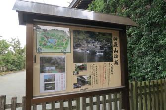 写真（寒川神社その16）