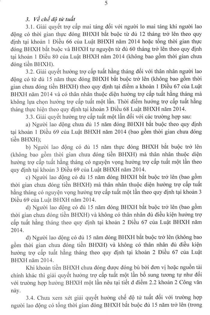 Page5.jpg