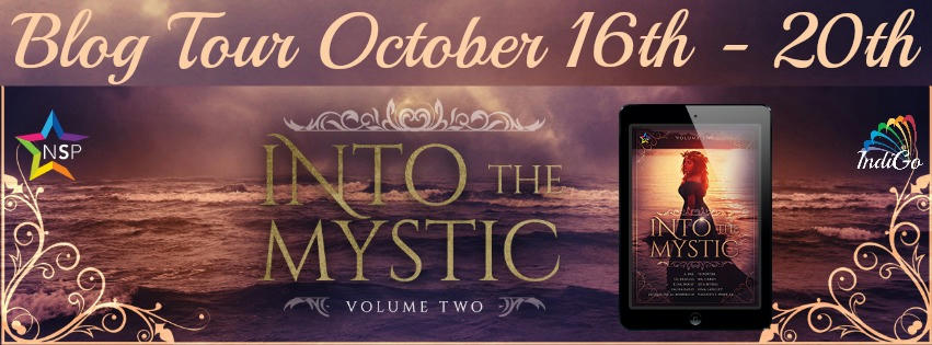 Into The Mystic 2 Tour Banner